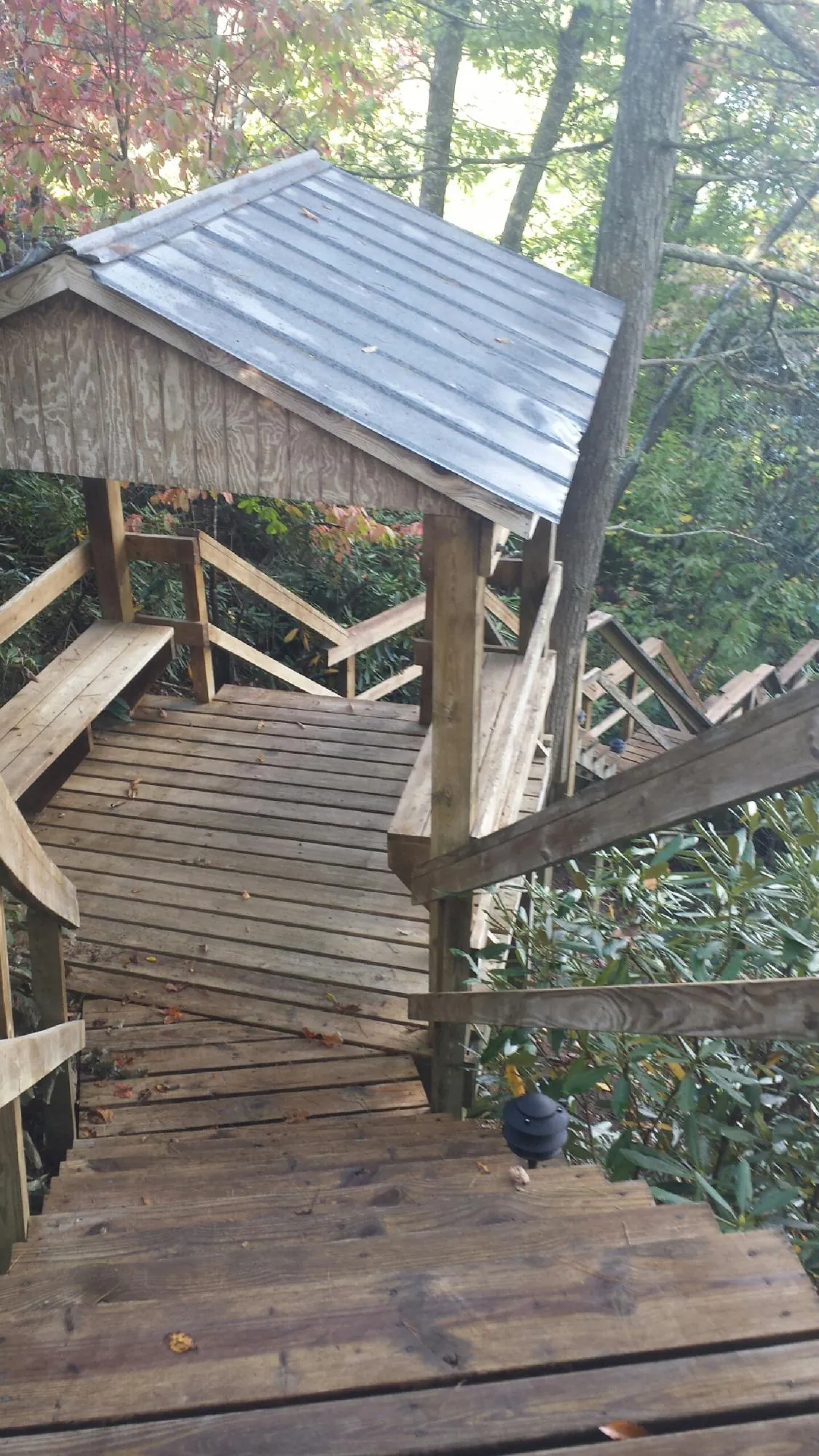 Metal roofed shelter over wooden steps on a wooded walkway — Skylight Repair & Installation work by our crew in Cobbs Creek